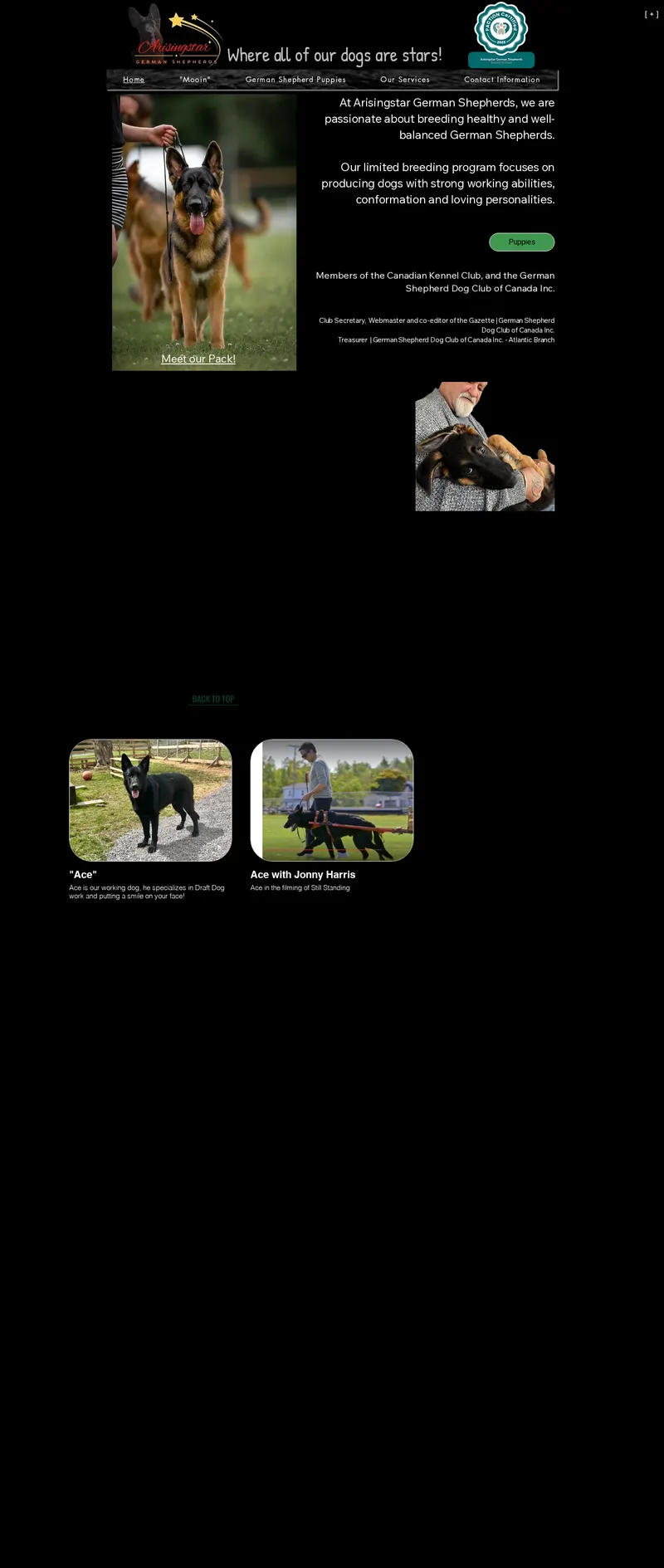 Original website for Arisingstar German Shepherds — full page