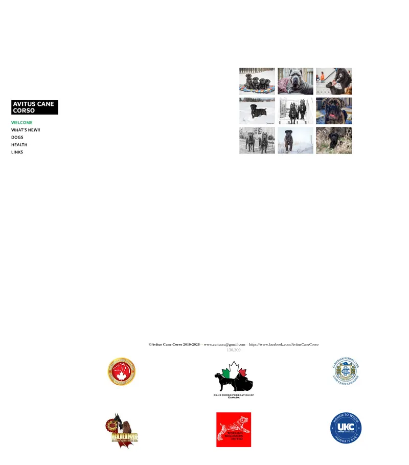 Original website for Avitus Cane Corso — full page