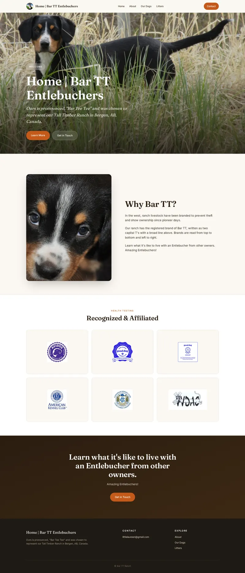 Redesigned website for Bar TT Entlebuchers — full page