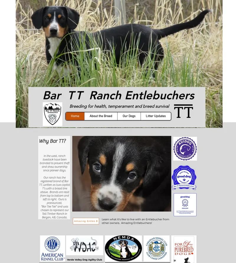 Original website for Bar TT Entlebuchers