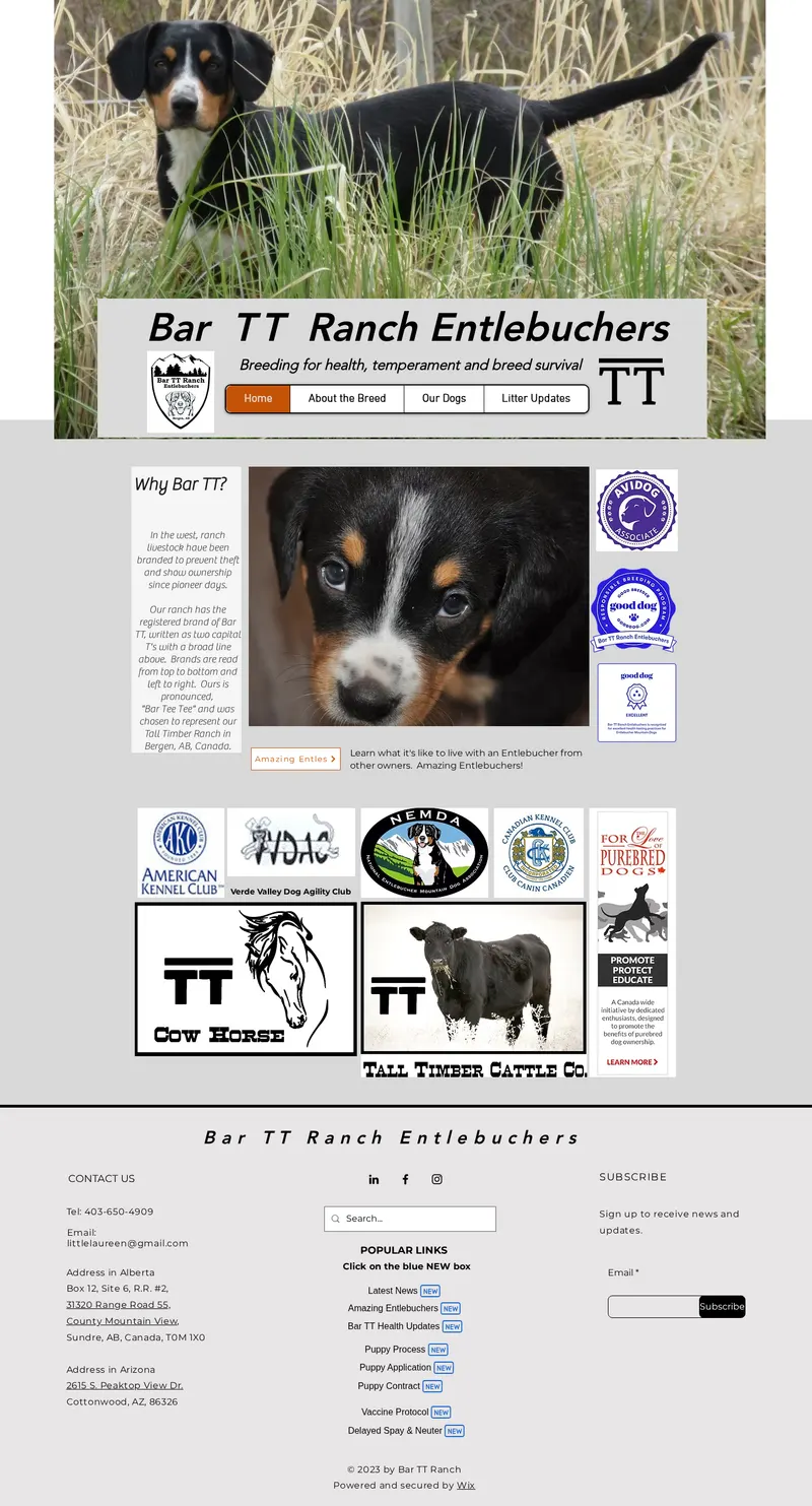 Original website for Bar TT Entlebuchers — full page