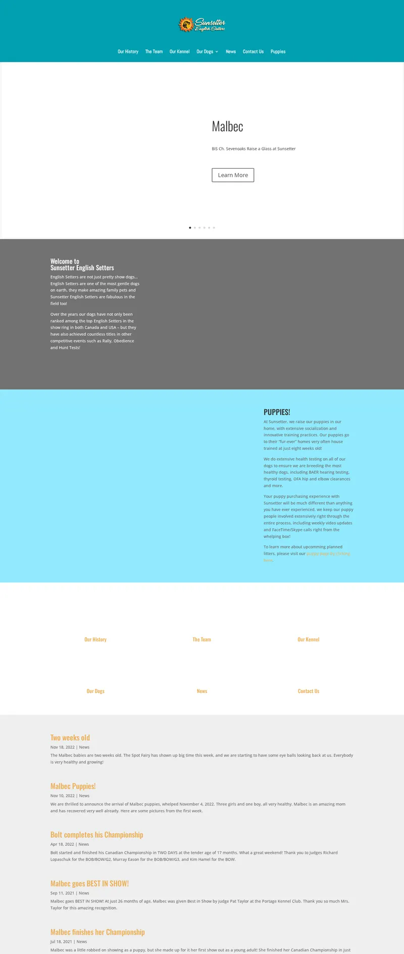 Original website for Sunsetter English Setters — full page